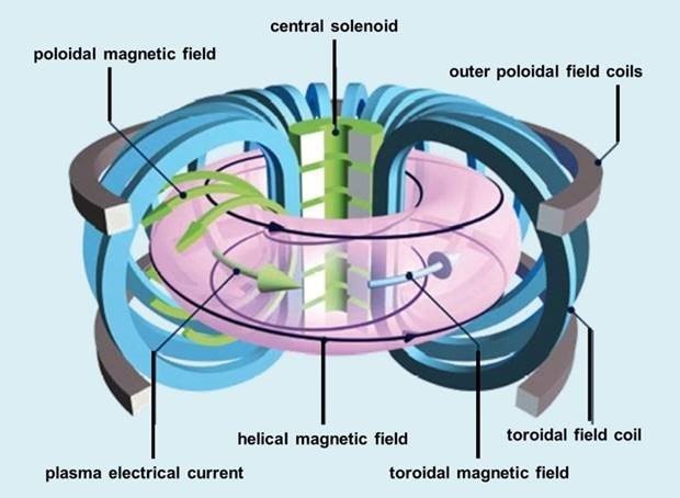 The essential tokamak components. Illustration © courtesy of EUROfusion / US Dept. of Energy.